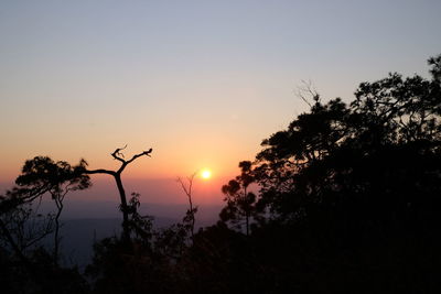 Silhouette trees against sky during sunset