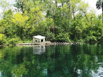 Scenic view of lake