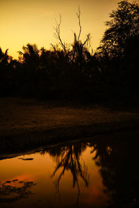 Reflection of silhouette trees on lake against sky during sunset