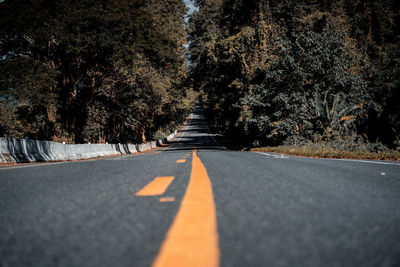 Empty road along trees