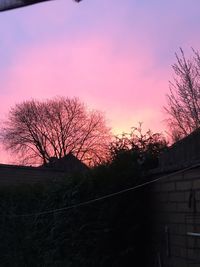 Bare trees against sky at sunset