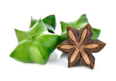 High angle view of green leaf against white background