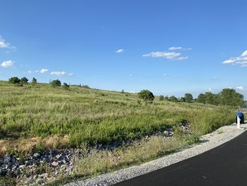 Scenic view of agricultural field against blue sky