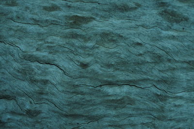 Close-up of textured surface