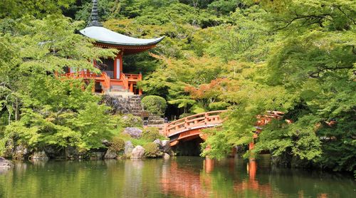 Bridge over river