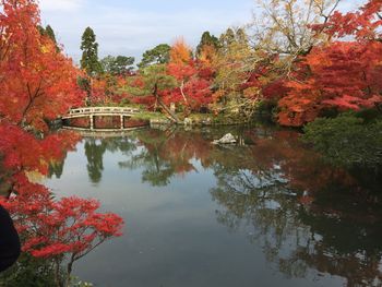 Reflection of trees in lake during autumn