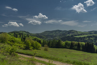 Scenic view of landscape against sky