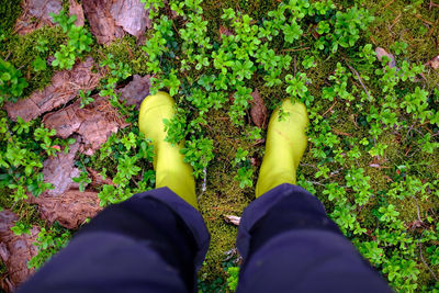 Low section of person standing on field