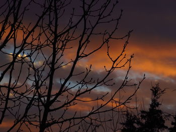 Silhouette bare tree against sky during sunset