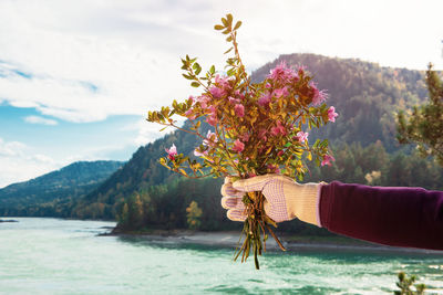 Person holding flowering plant against mountain