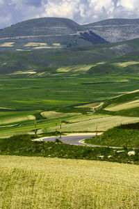 Scenic view of field against sky