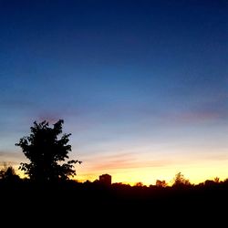 Silhouette trees against clear sky at sunset