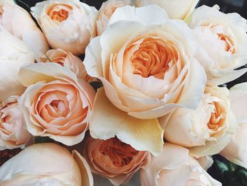 Close-up of rose bouquet