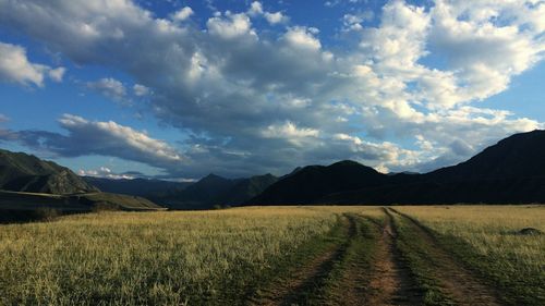 Scenic view of landscape against sky