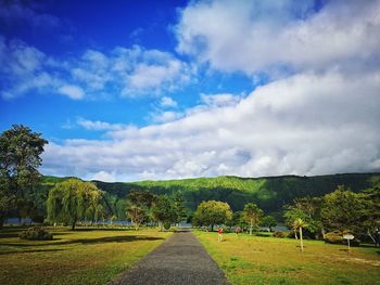 Empty road along trees and plants against sky