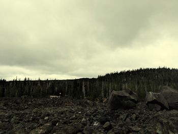 Scenic view of rocky landscape against sky