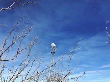 Low angle view of mesquite and windmill against blue sky
