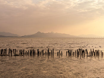 Scenic view of sea against sky during sunset