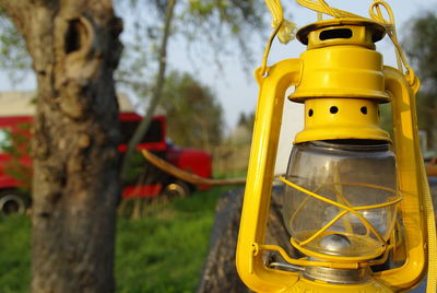 Close-up of yellow tree on field against sky