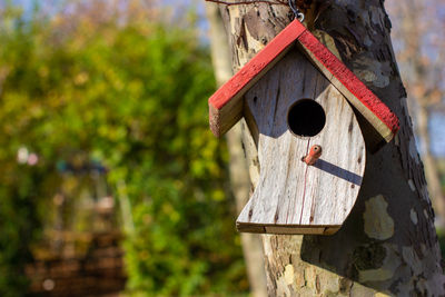 birdhouse