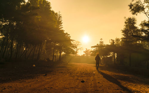 Silhouette man walking by trees against sky during sunset