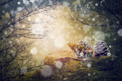 Digital composite image of bare tree with reflection in lake
