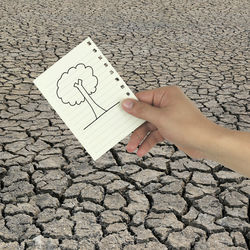 Cropped hand paper on dry field