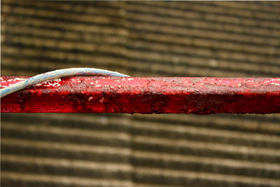 Close-up of water drops on metal