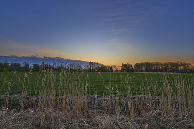 Scenic view of field against sky during sunset