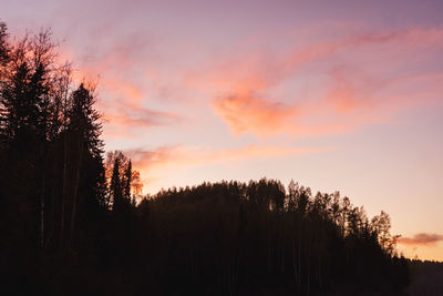 Silhouette trees in forest against sky during sunset