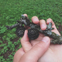 Cropped image of people holding stick and pine cones