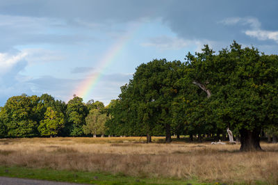 Trees on landscape against sky