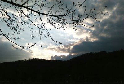 Silhouette trees on landscape against sky at sunset