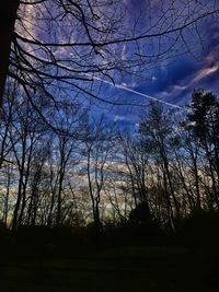 Silhouette trees against sky during sunset