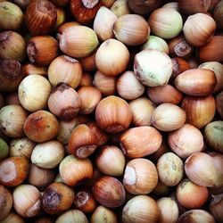 Full frame shot of hazelnuts