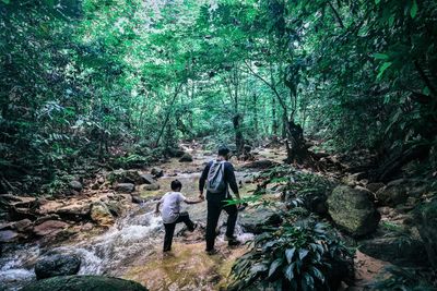 Rear view of friends walking in forest