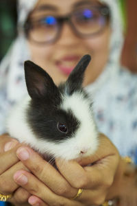 Close-up portrait of young woman holding baby rabbit at home