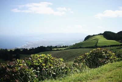 Scenic view of field against sky