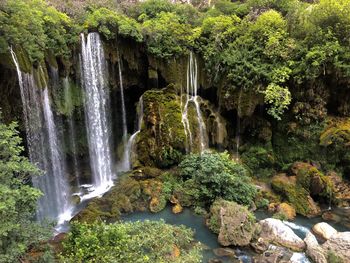 Scenic view of waterfall in forest