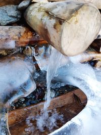 Close-up of snow on log