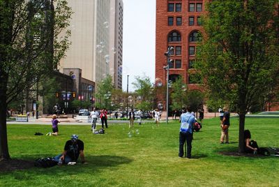 Trees in city