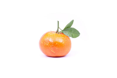 Close-up of orange fruit against white background