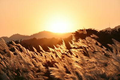 Scenic view of mountains against clear sky during sunset