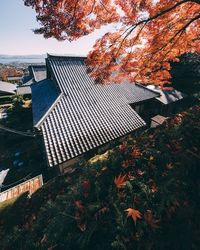 High angle view of tree by building against sky