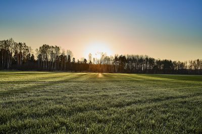 Scenic view of field against sky during sunset