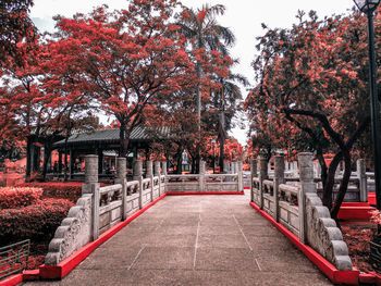 Trees in park against sky during autumn