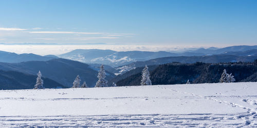 Feldberg