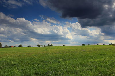 Scenic view of field against sky