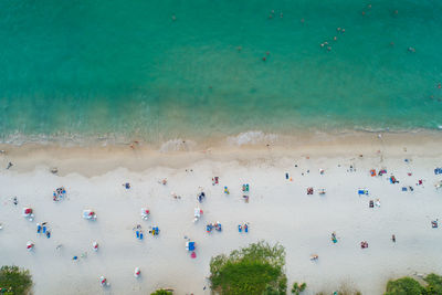 Aerial view top down of coconut palm trees on the beautiful patong beach phuket thailand amazing sea