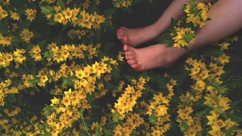 Midsection of person and yellow flowering plants